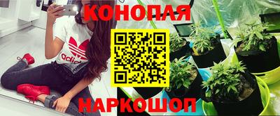 герыч Ставрополь
