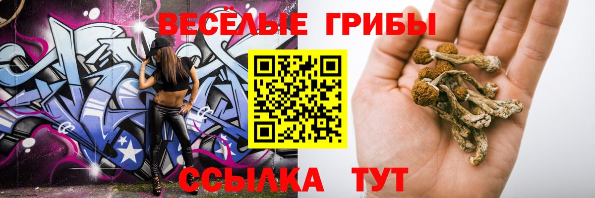 Галлюциногенные грибы прущие грибы  Вход с VPN  Псилоцибиновые грибы Magic Shrooms  Отрадное 