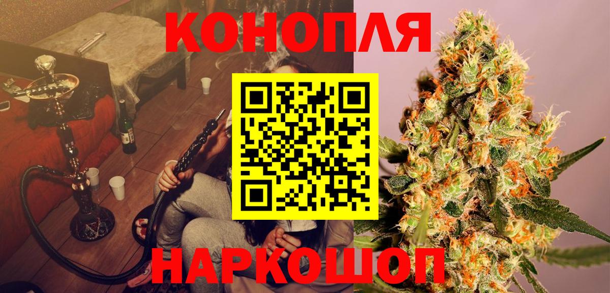 Канабис конопля Отрадное